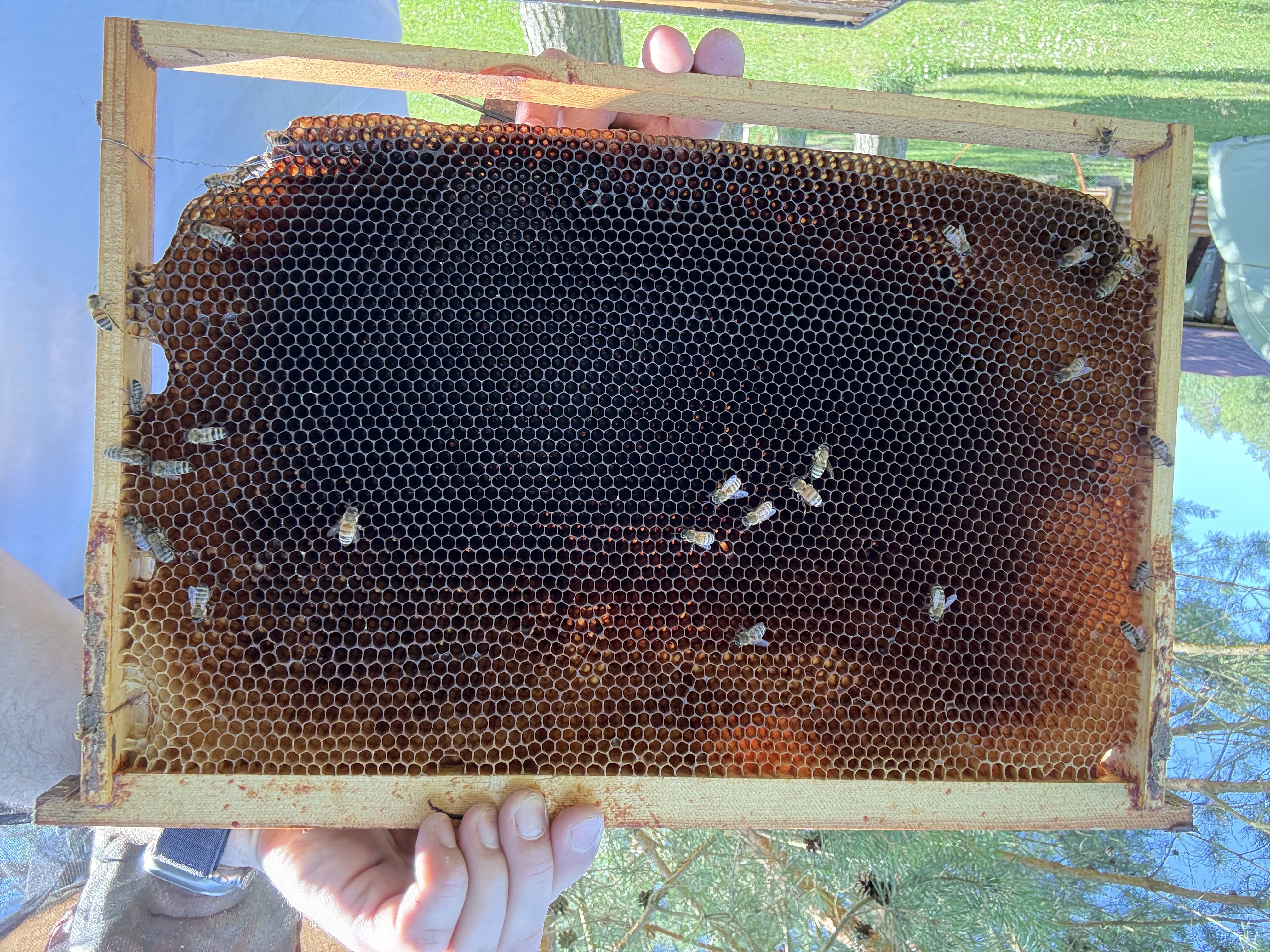 Frame 12 Side B