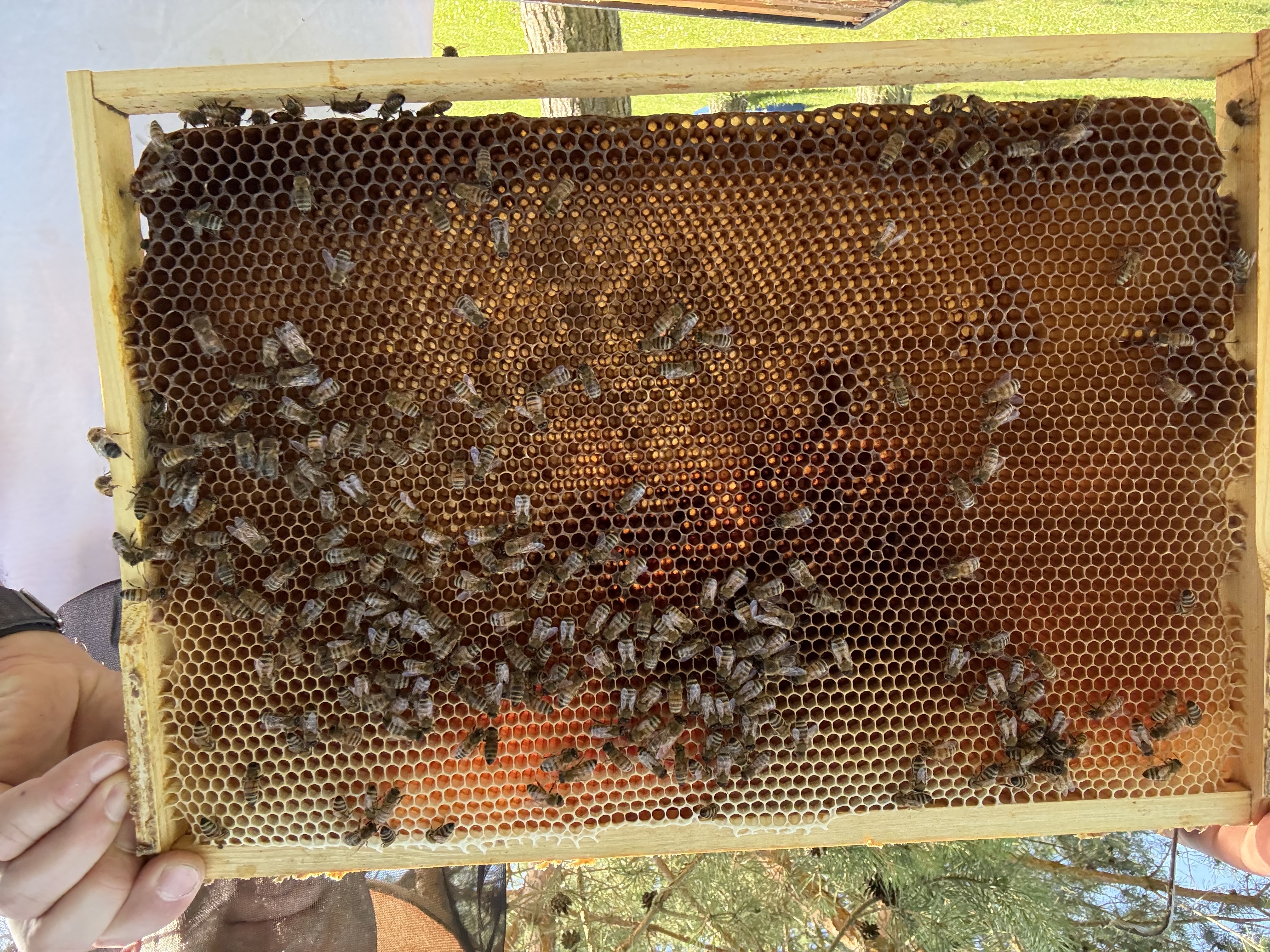 Frame 9 Side B