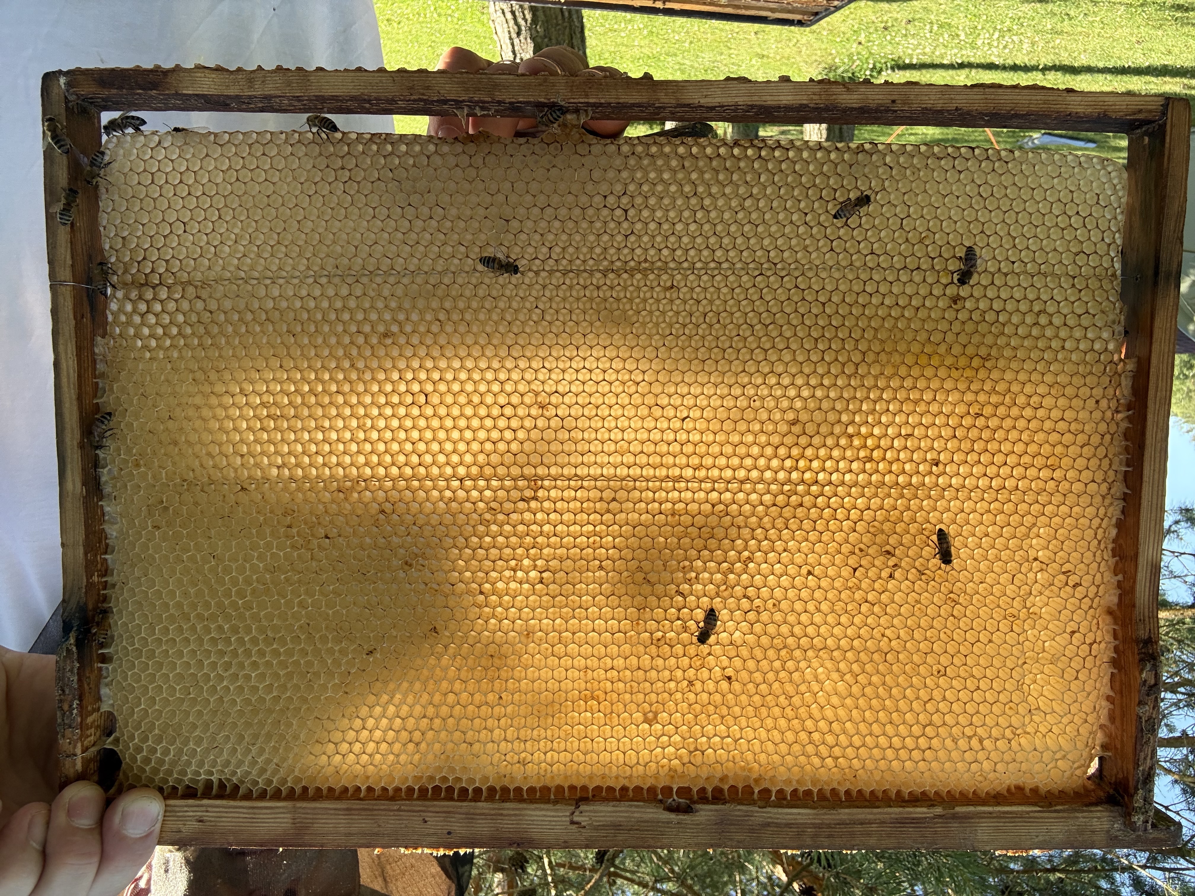 Frame 10 Side B
