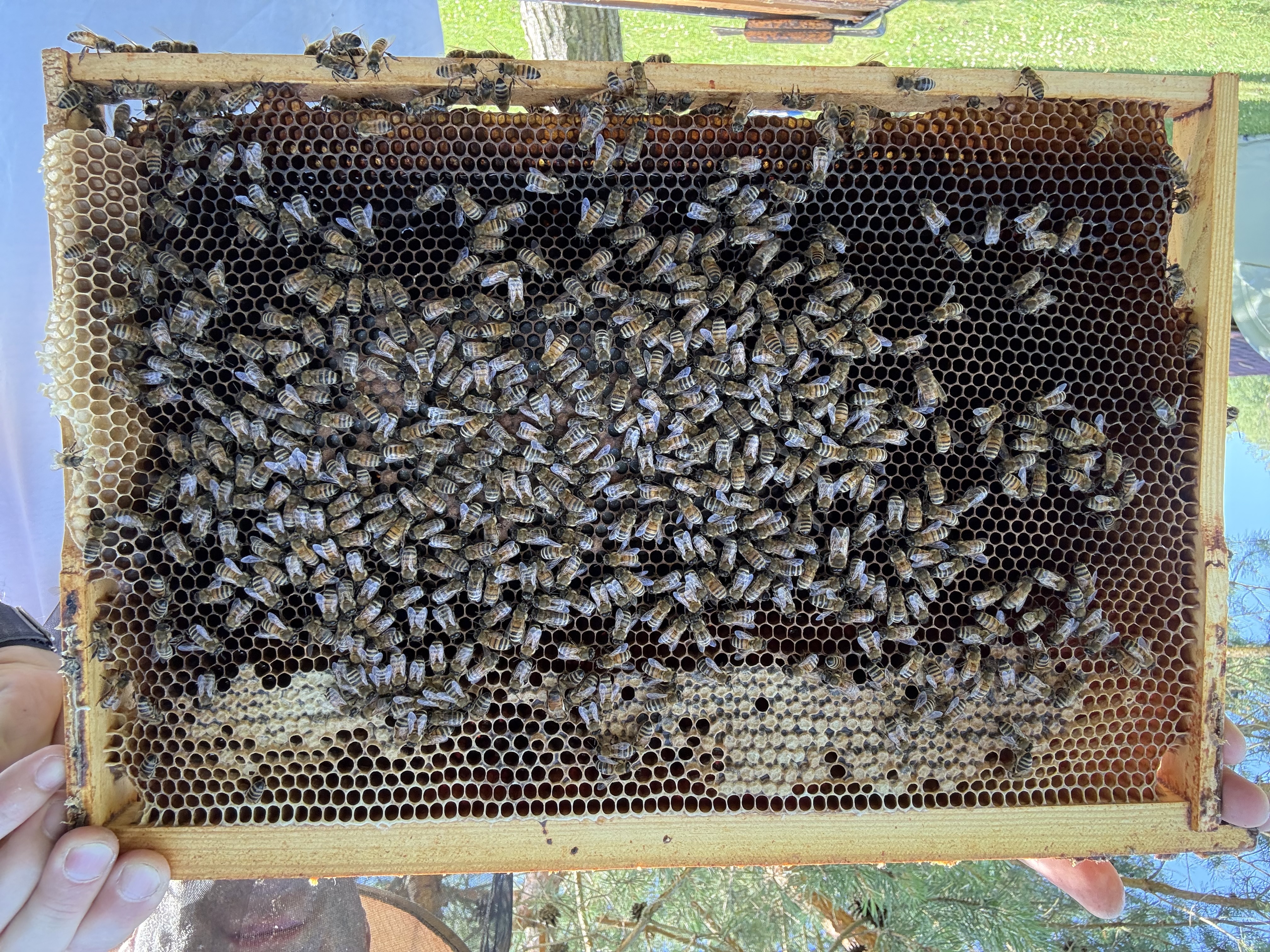 Frame 5 Side B