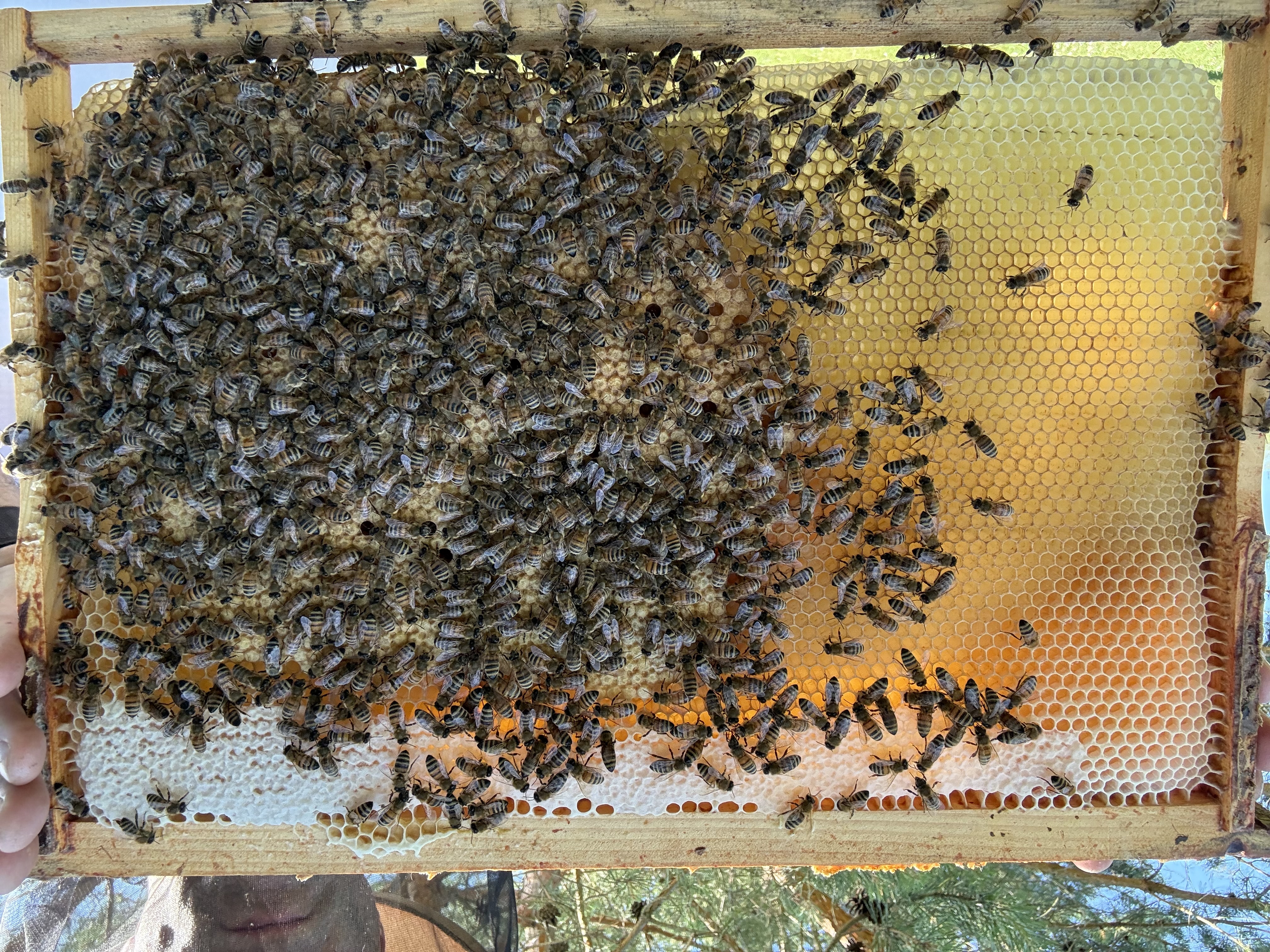 Frame 4 Side B