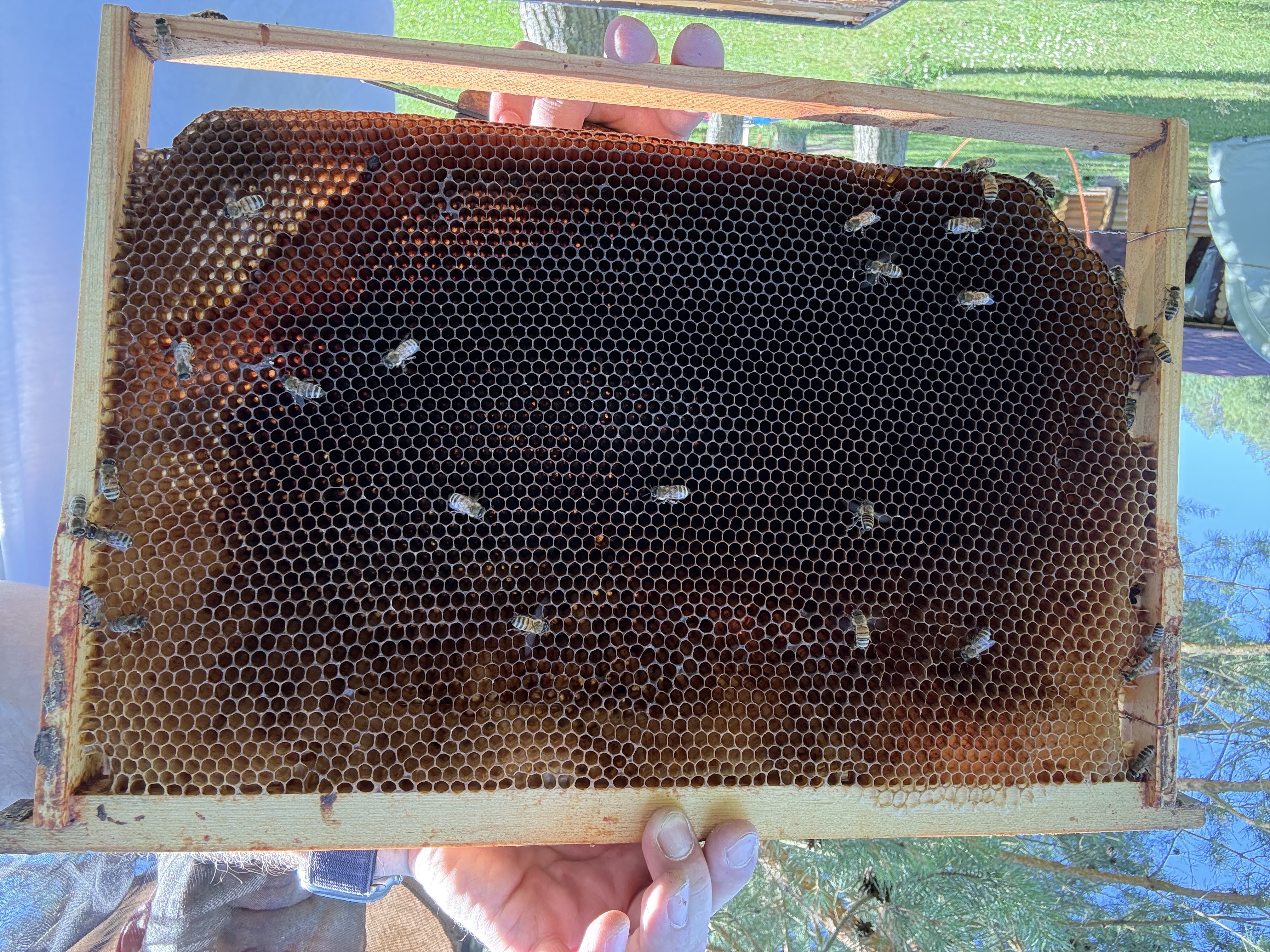 Frame 11 Side A