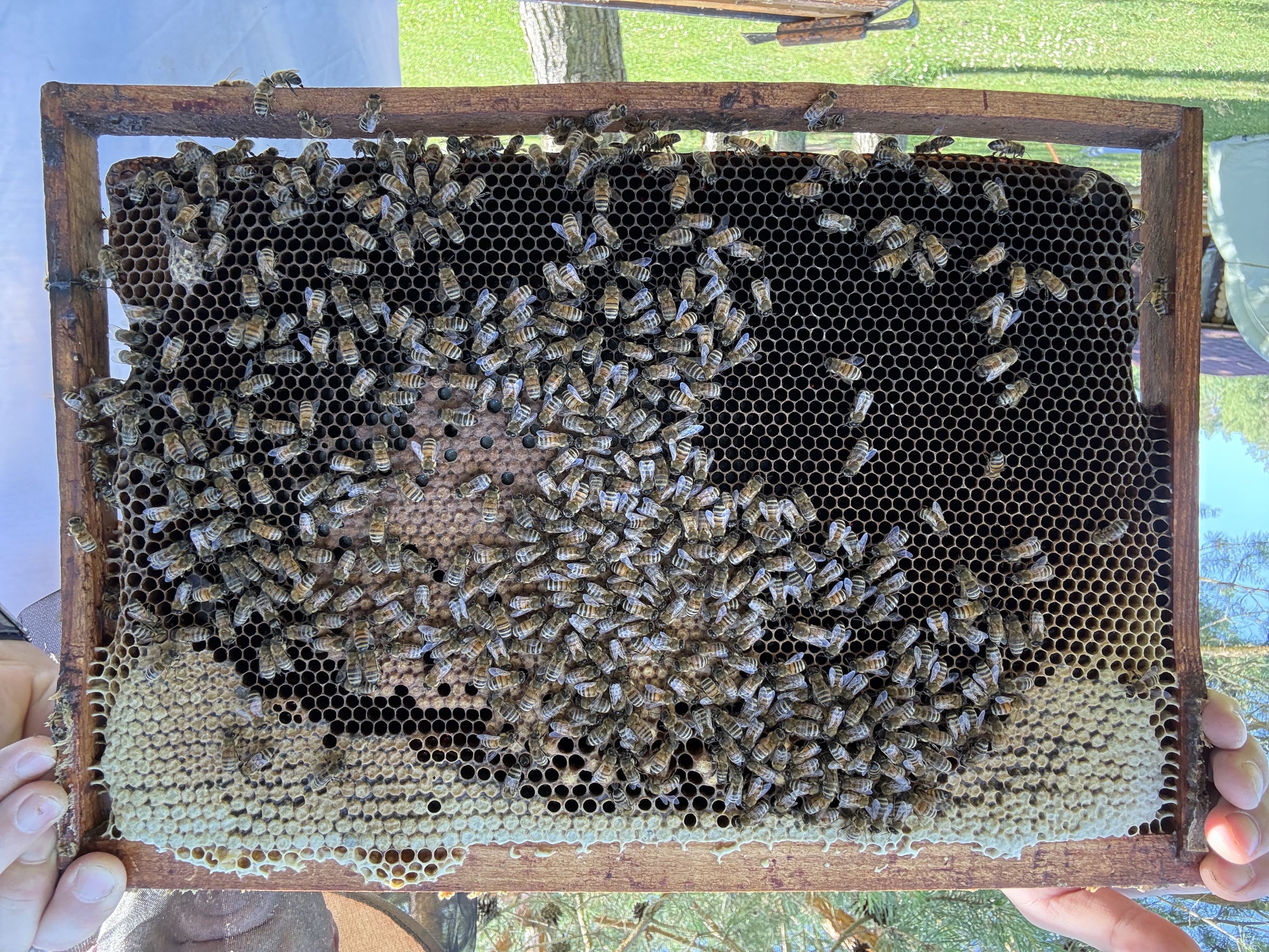 Frame 8 Side B