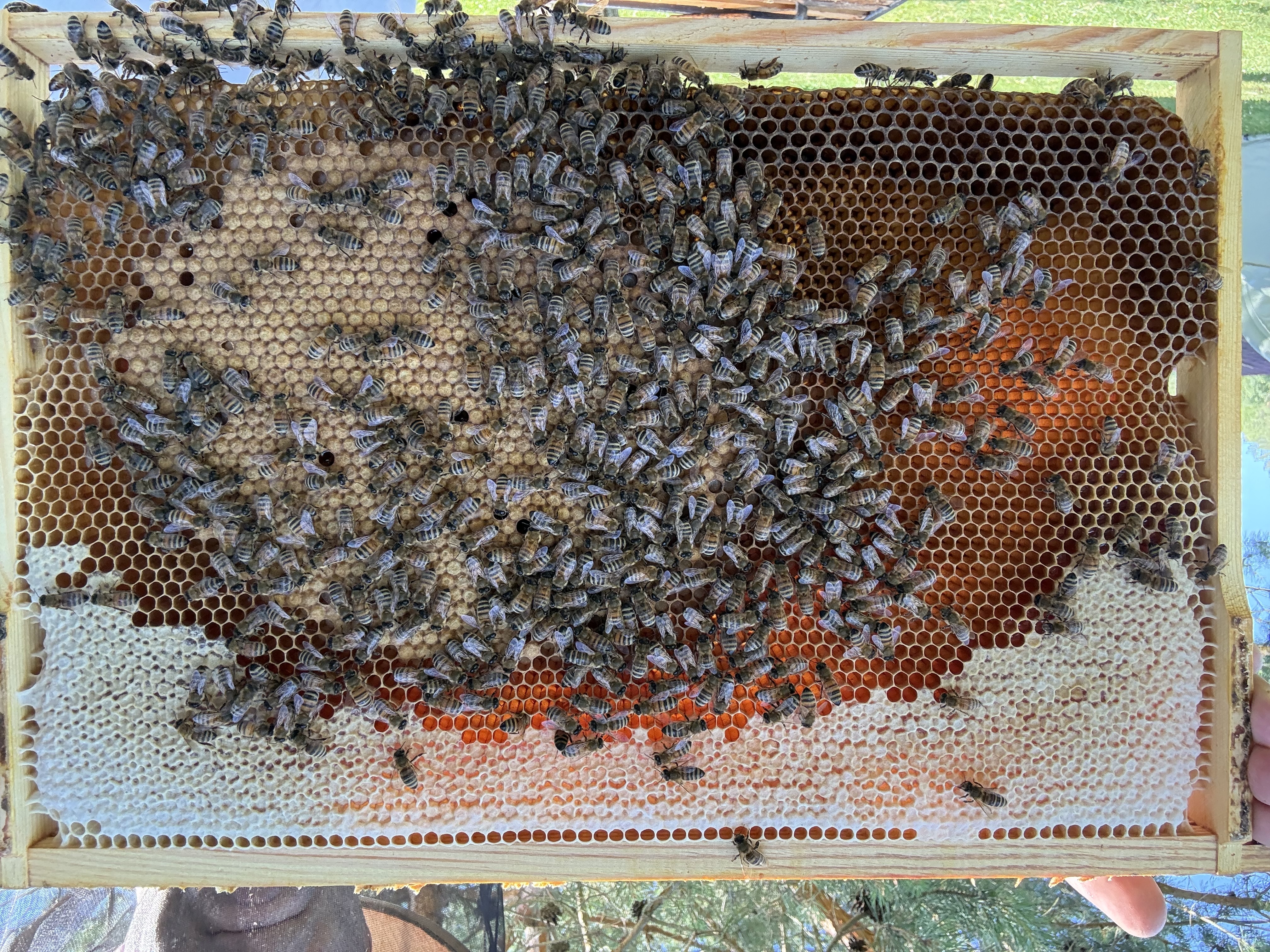 Frame 6 Side B