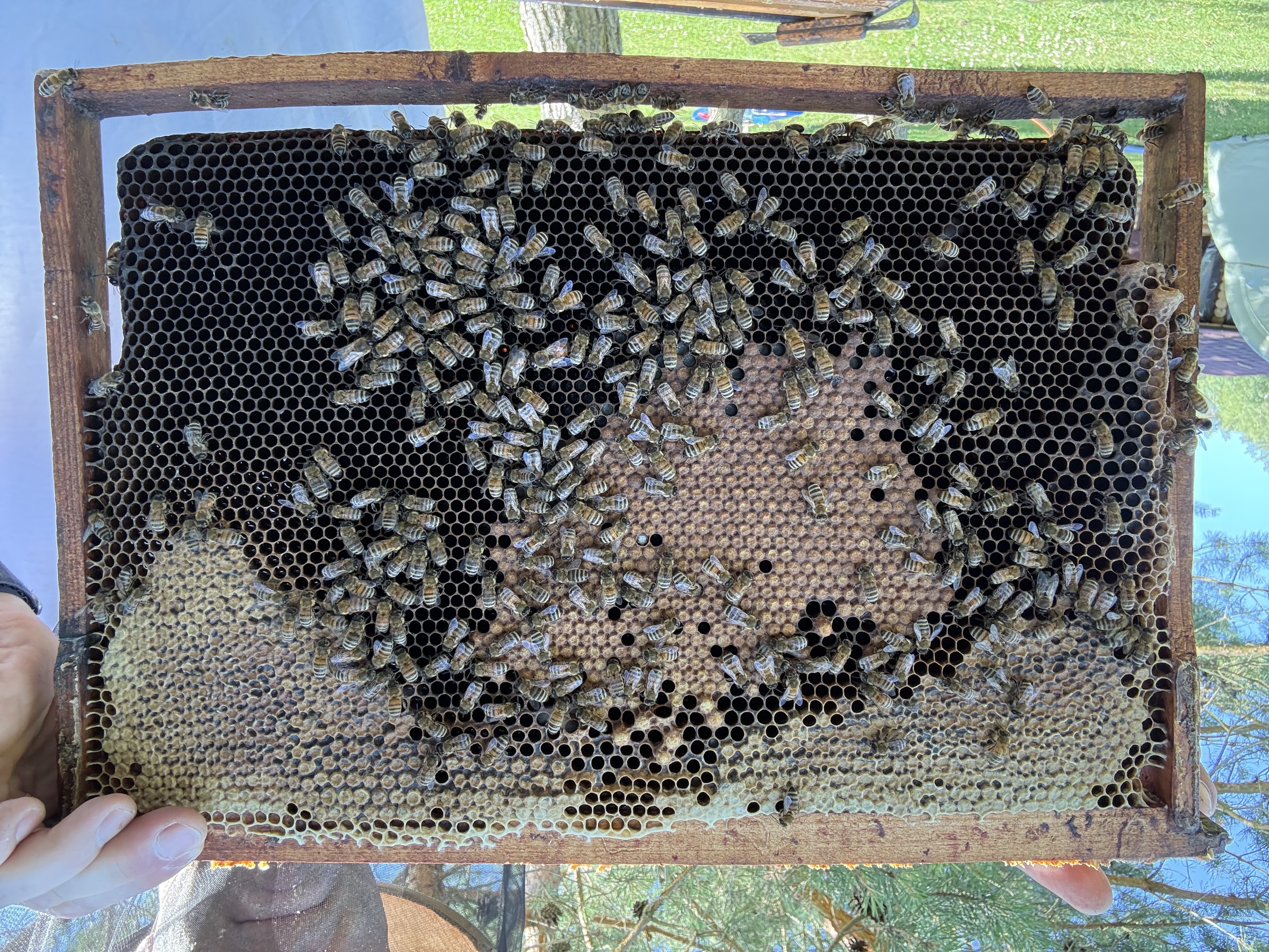 Frame 8 Side A