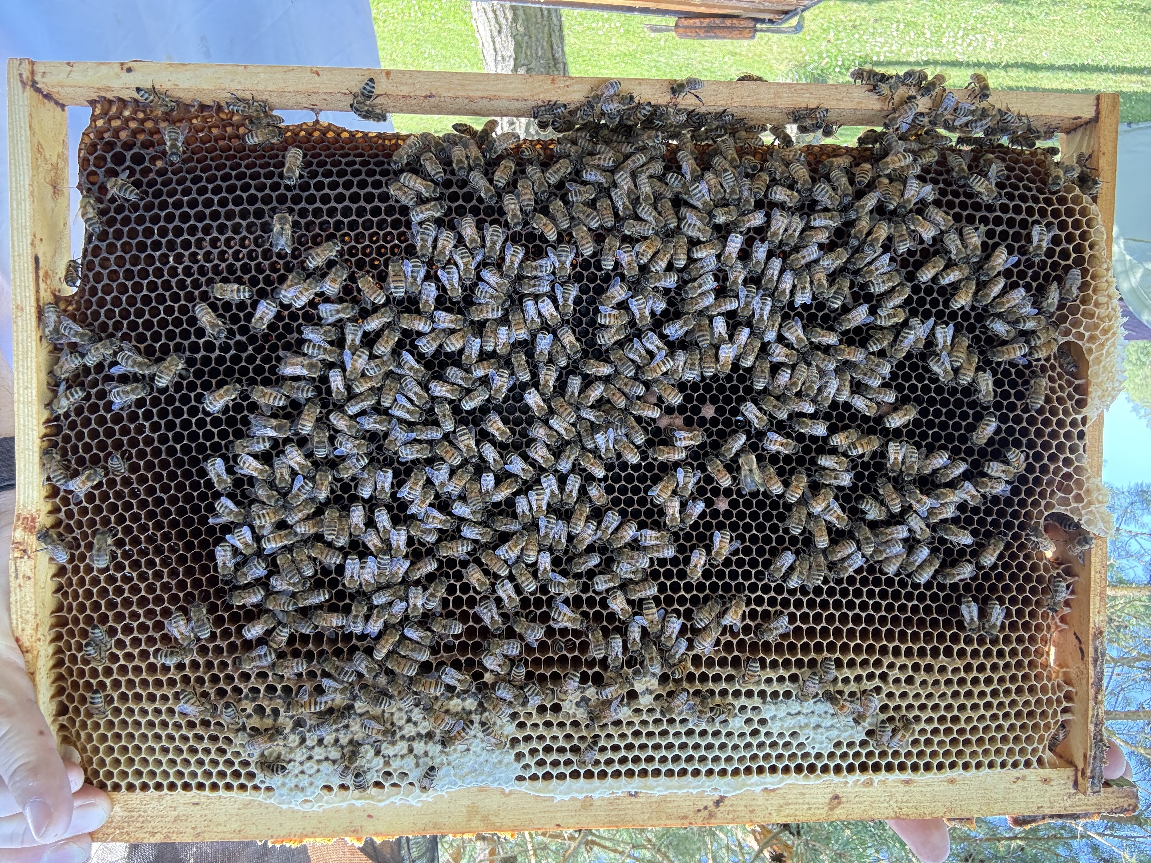 Frame 5 Side A
